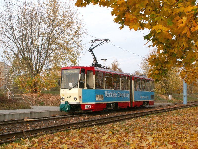 Herbstimpression