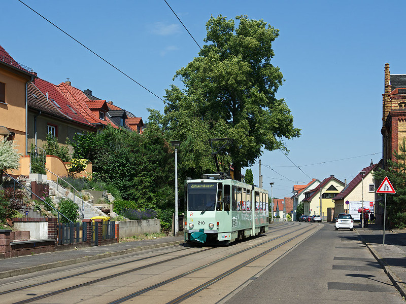 Sommer in der Lebuser Vorstadt