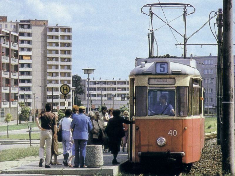 Birkenallee mit Linie 5